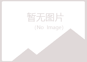 铁山港区映梦建设有限公司